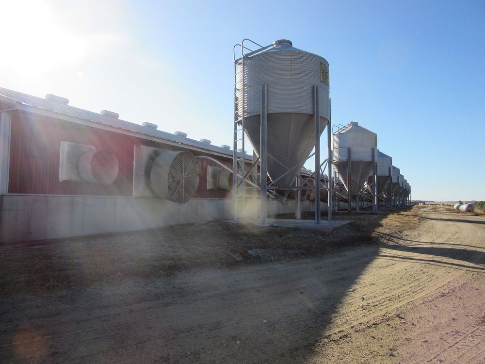Special Purpose For Sale: 52813 860th Rd, Brunswick, NE 68720